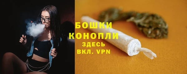 амф Арсеньев