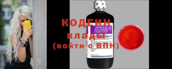 амф Арсеньев