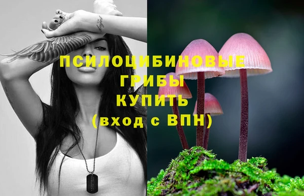 амф Арсеньев