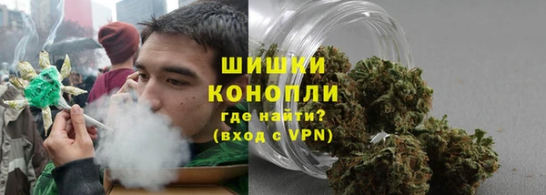 амф Арсеньев